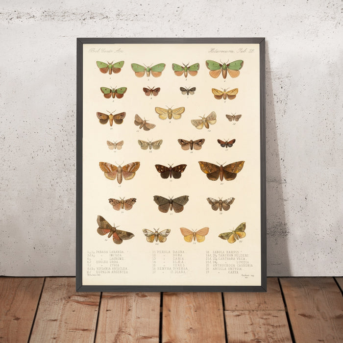 A framed image of