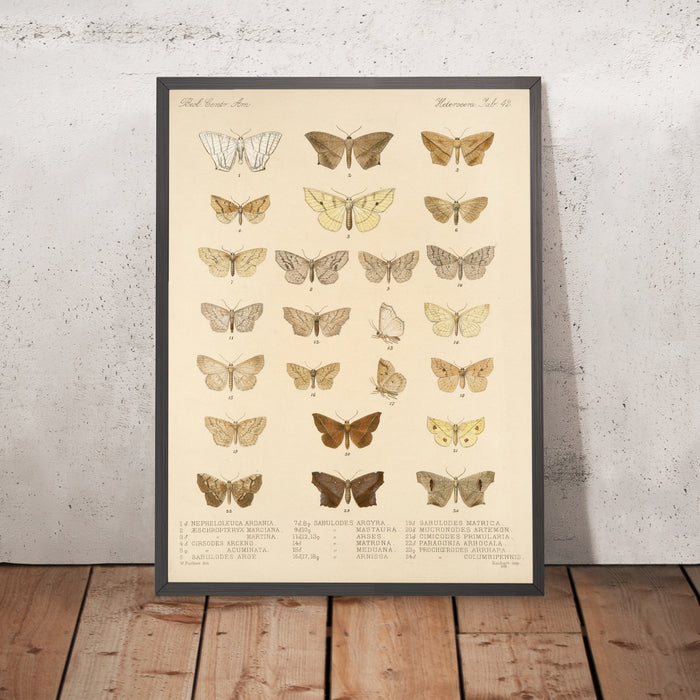 A framed image of
