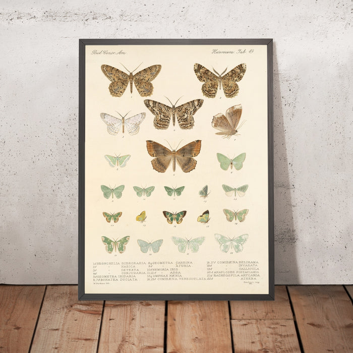 A framed image of