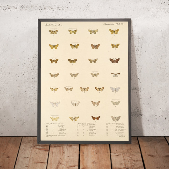 A framed image of