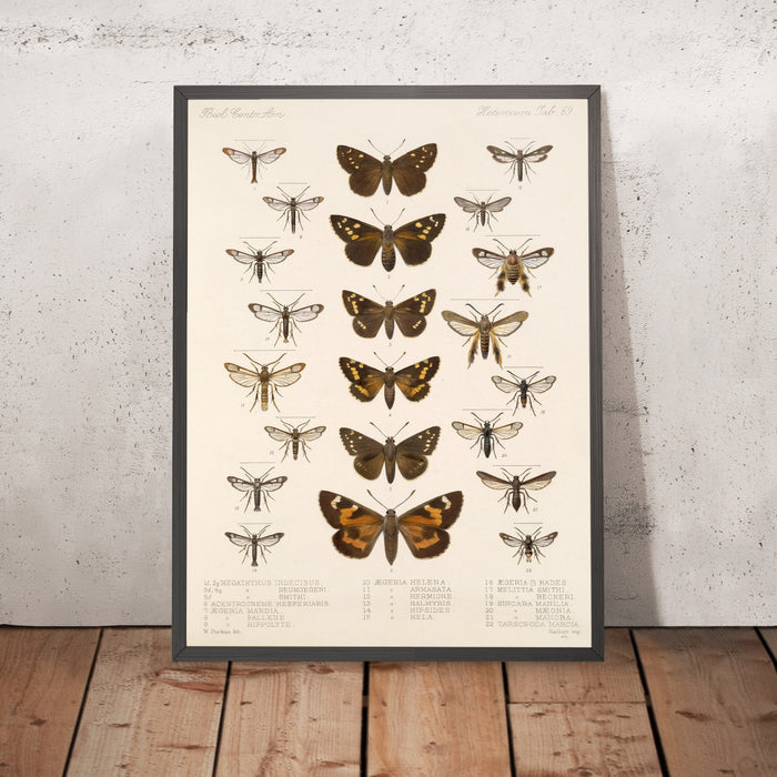 A framed image of