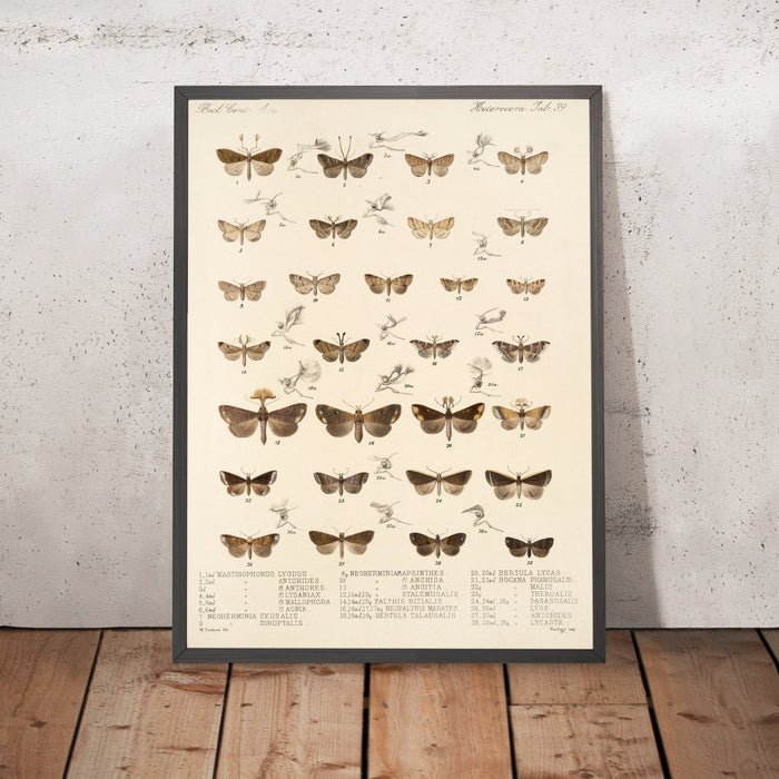 A framed image of