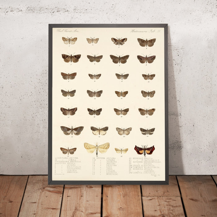 A framed image of