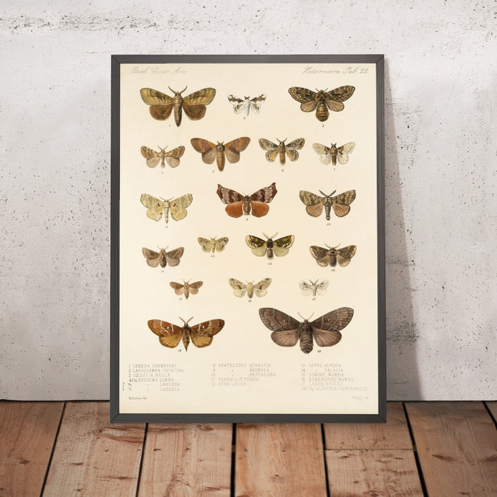 A framed image of