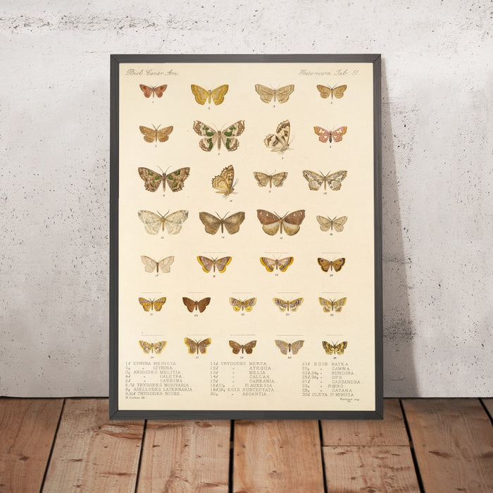 A framed image of