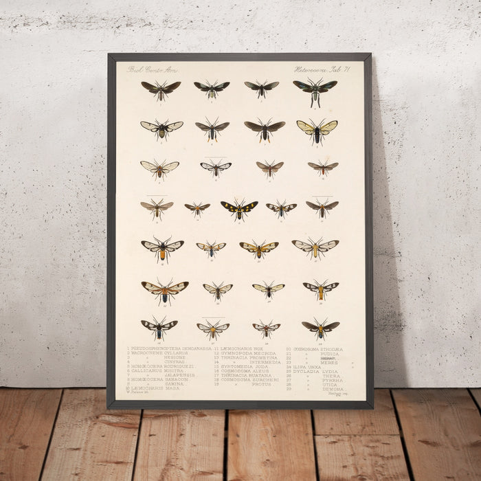 A framed image of
