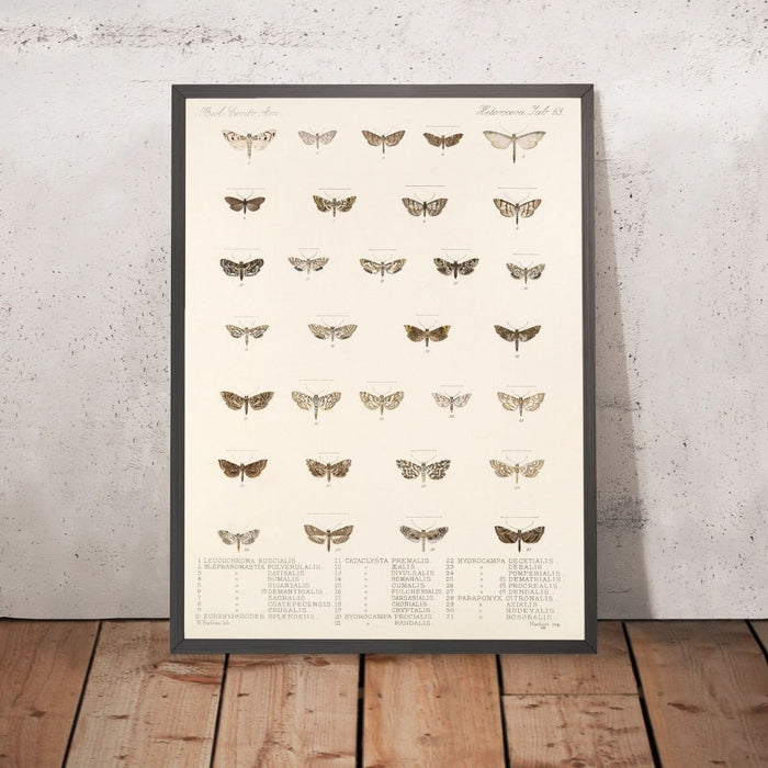 A framed image of