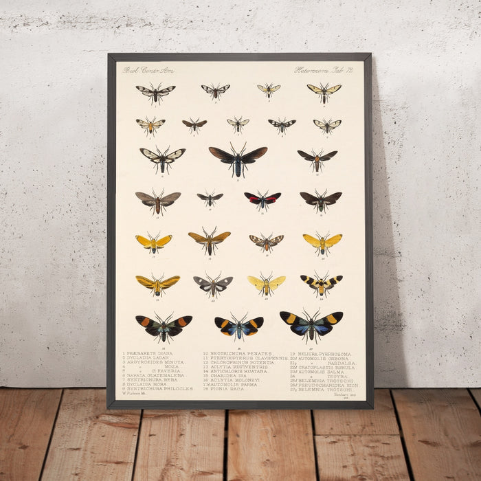 A framed image of
