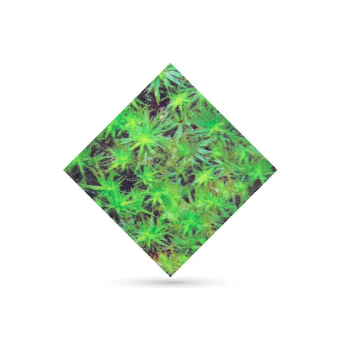 My Fantasy Covering - Polyester - Roll - 1 mm - My Podologie