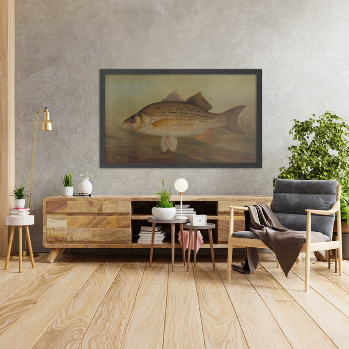 A framed image of