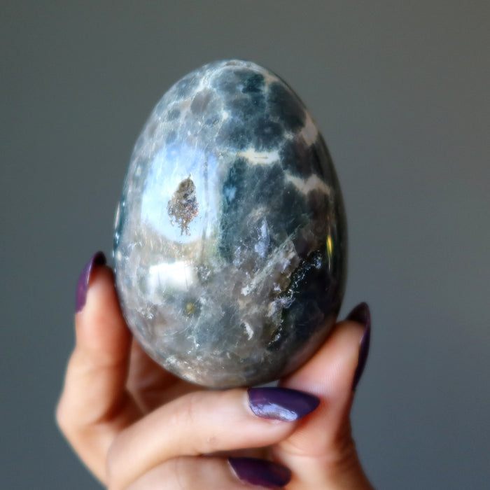ocean jasper egg