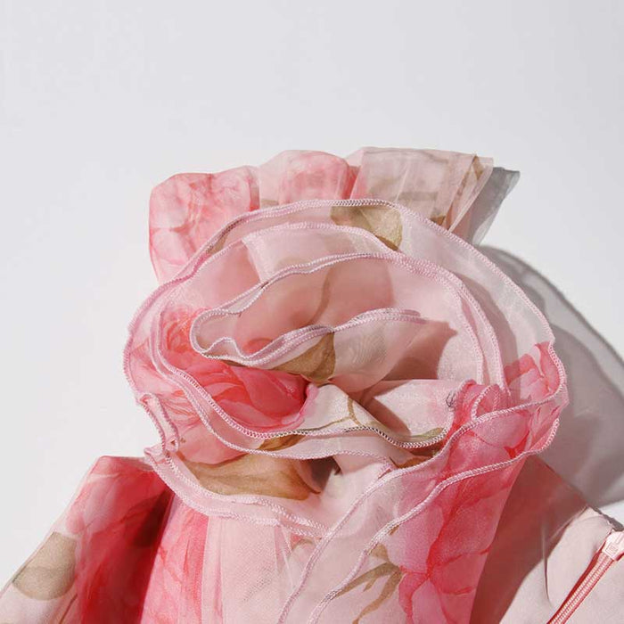 Off The Shoulder Organza Floral Gown Dress