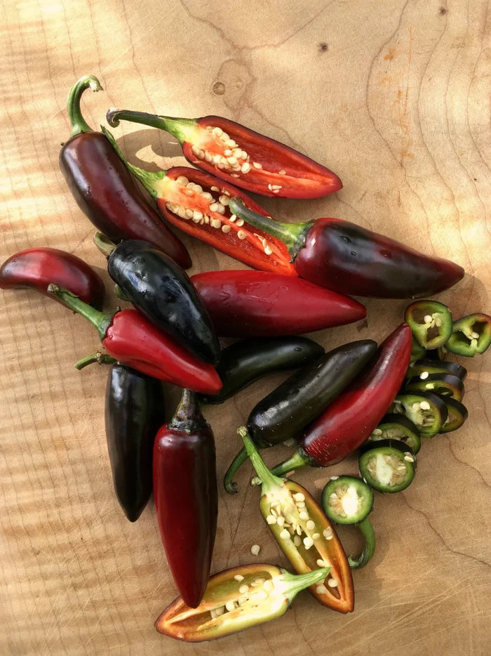 PEPPER 'Czech Black'