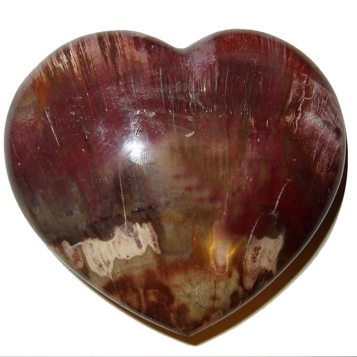 petrified wood heart