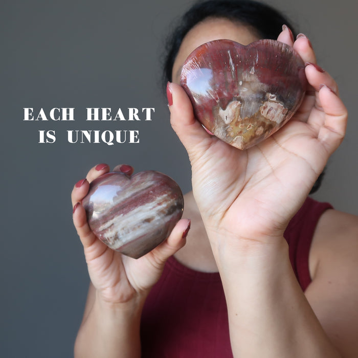 woman holding two petrified wood hearts