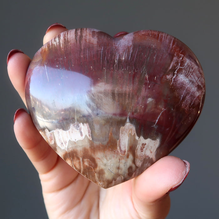 petrified wood heart