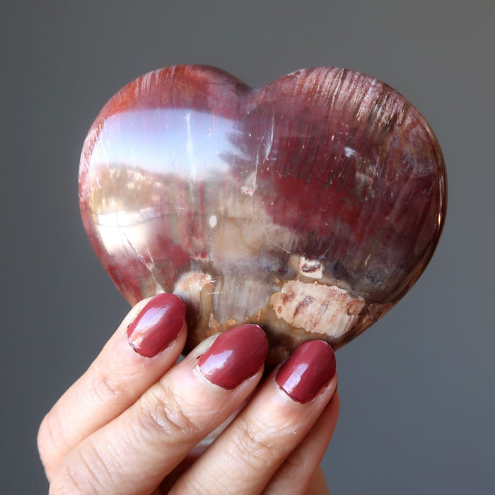 petrified wood heart