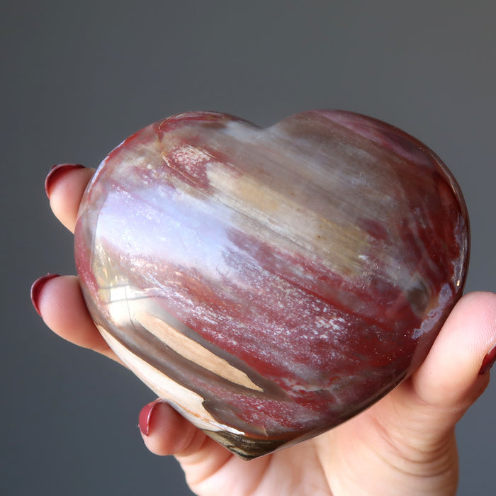 petrified wood heart