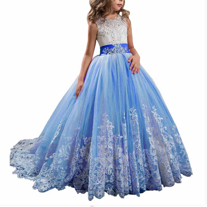 Royal Blue / 2-3Y