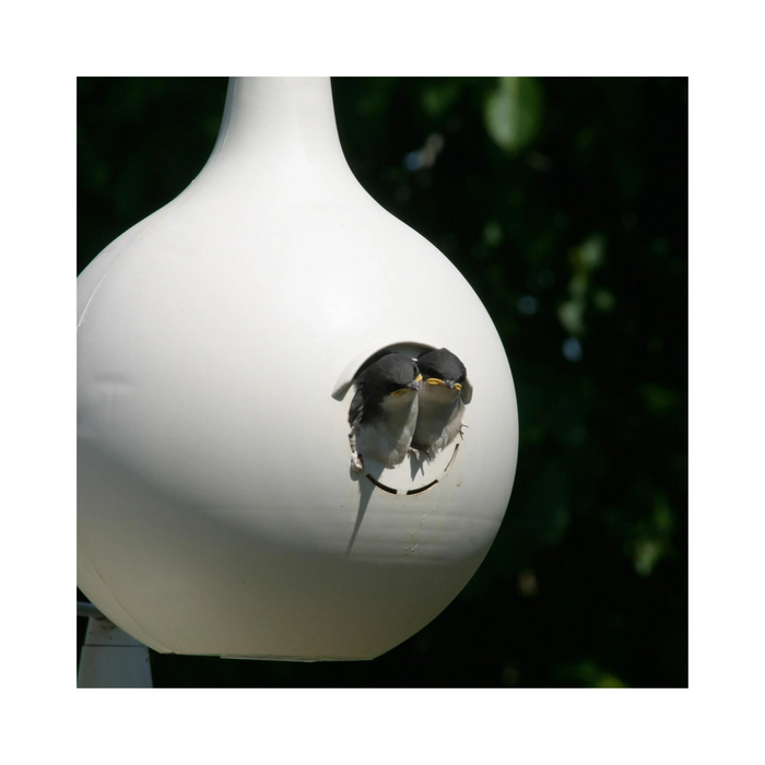 Purple Martin Gourd Bird House - Pittsboro Feed