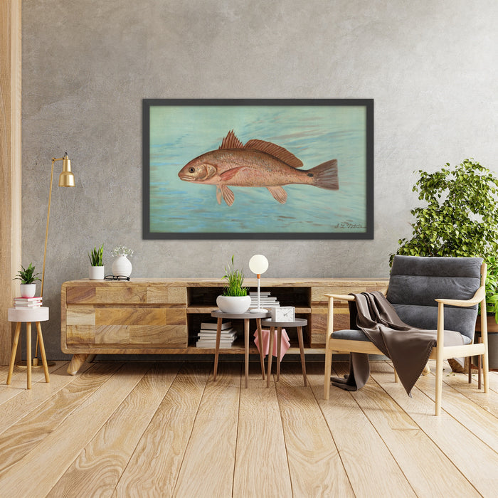 A framed image of
