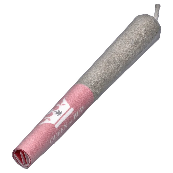 Angled close-up of the Red Jasper Infused PR 6 x 0.5 g pre-roll showing a pink branded filter tip and textured grey cannabis wrap.