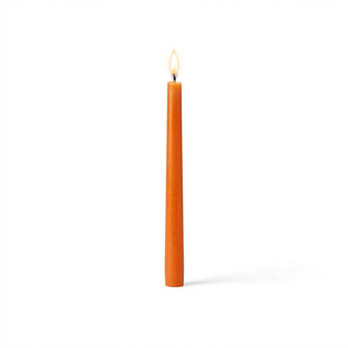 Single orange taper candle with flame on white backdrop