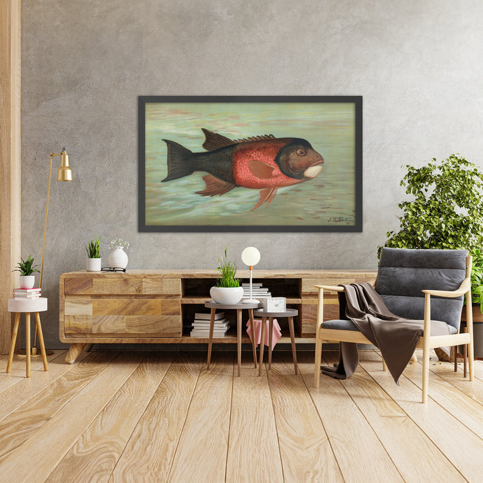 A framed image of