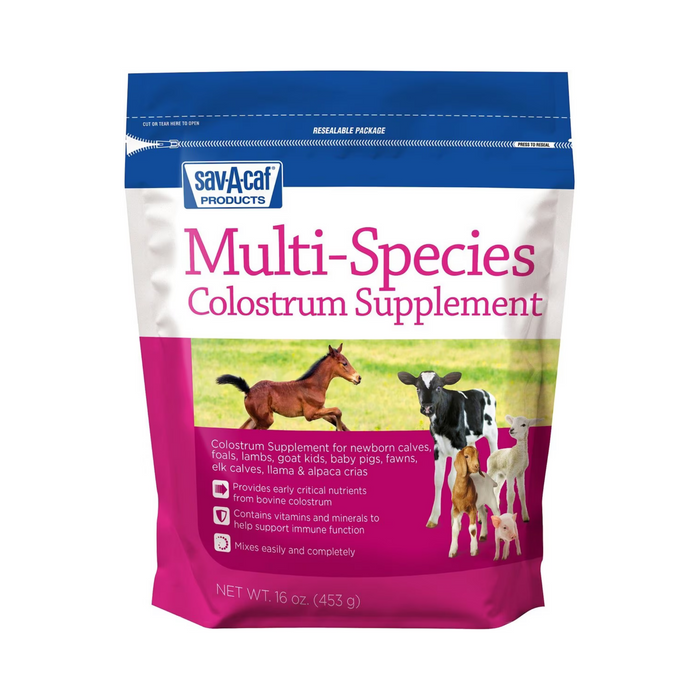 Sav-A-Caf Ultra Start Multi-Species Colostrum Supplement - Pittsboro Feed