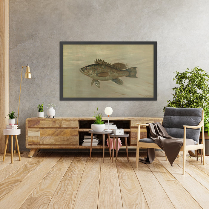 A framed image of