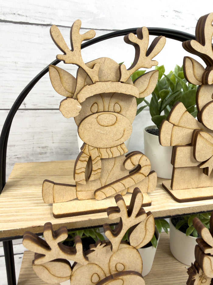 Set Reindeer Christmas Friends DIY Kit
