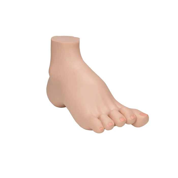 Skeleton of a hollow foot (Pes Cavus) - My Podiatry