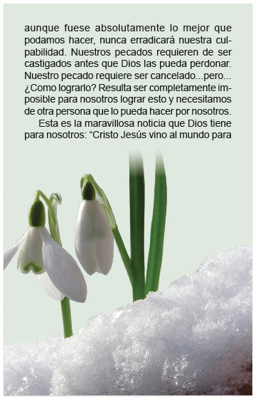 Starting Fresh (Spanish)