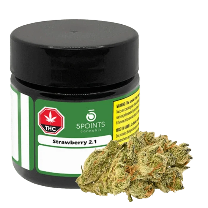 Close-up of the Strawberry 2.1 cannabis flower, showcasing its vibrant green and orange hues against a neutral background.