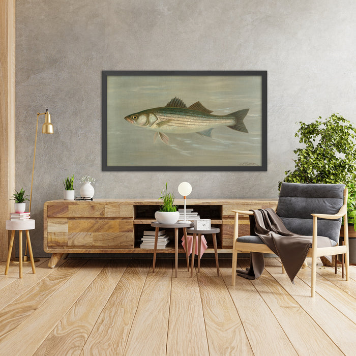 A framed image of