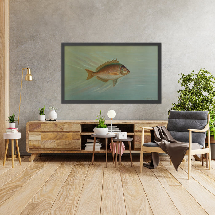 A framed image of