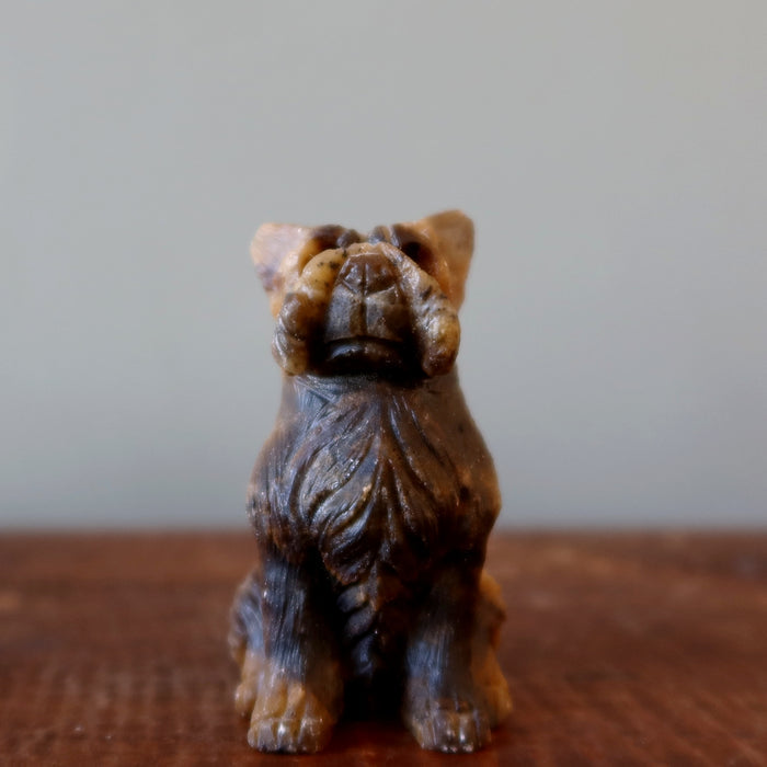 Tigers Eye Dog Scottish Terrier Timeless Golden Guardian