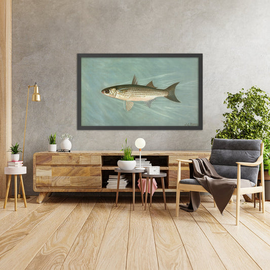 A framed image of