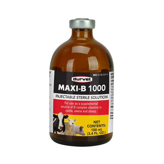 Vitamin Maxi-B 1000 Injectable Solution - Pittsboro Feed