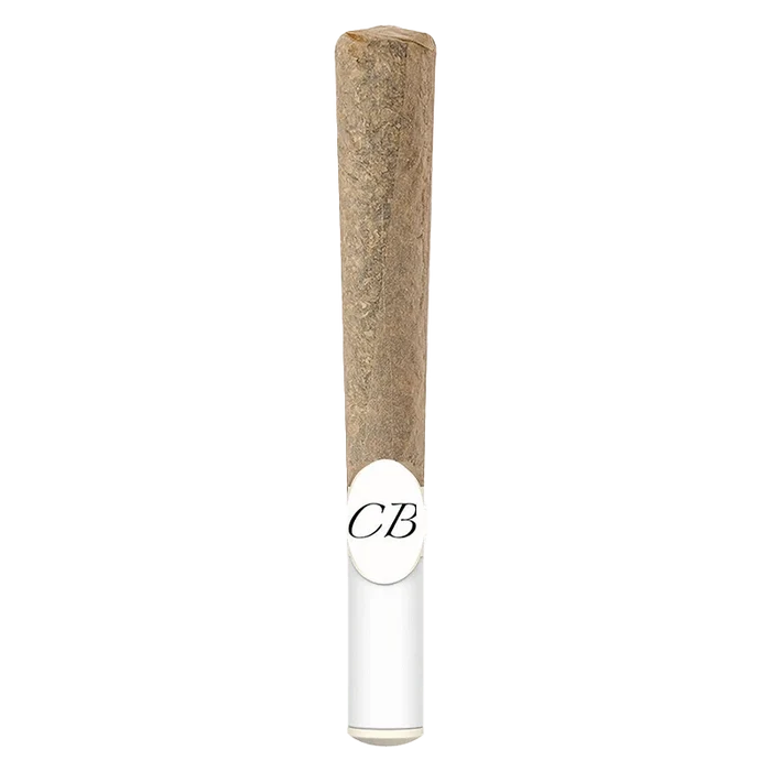 Front view of the Water Hash Infused Whole Flower Pre Rolled 1 x 1 g, showing a pre-rolled joint against a plain white backdrop.