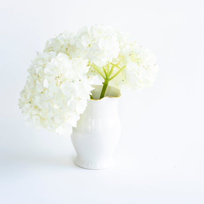 Wavy Amphora Stoneware Vase — White vase holding separate hydrangeas; Susan Gordon Pottery