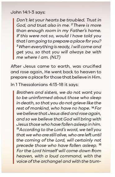 What In The World Is Going On? (Updated, Multiple Bible Versions)