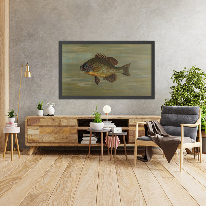 A framed image of