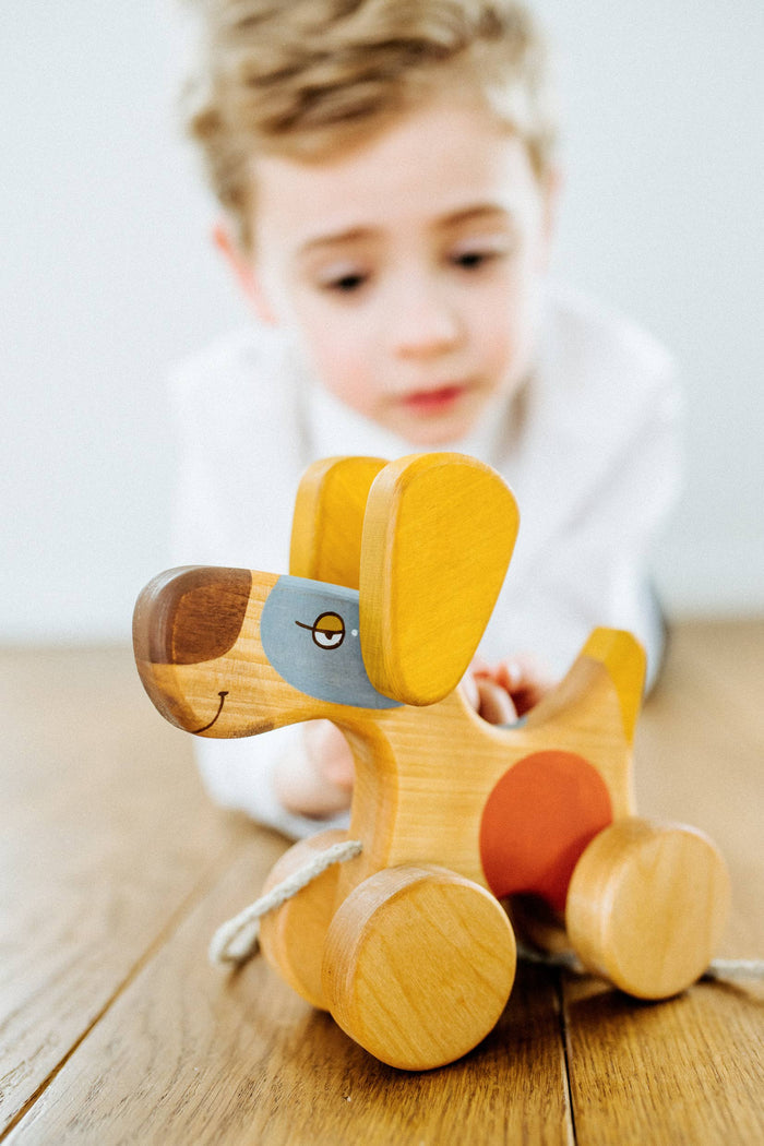 Wooden Dog Pull Toy