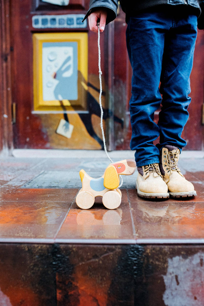 Wooden Dog Pull Toy