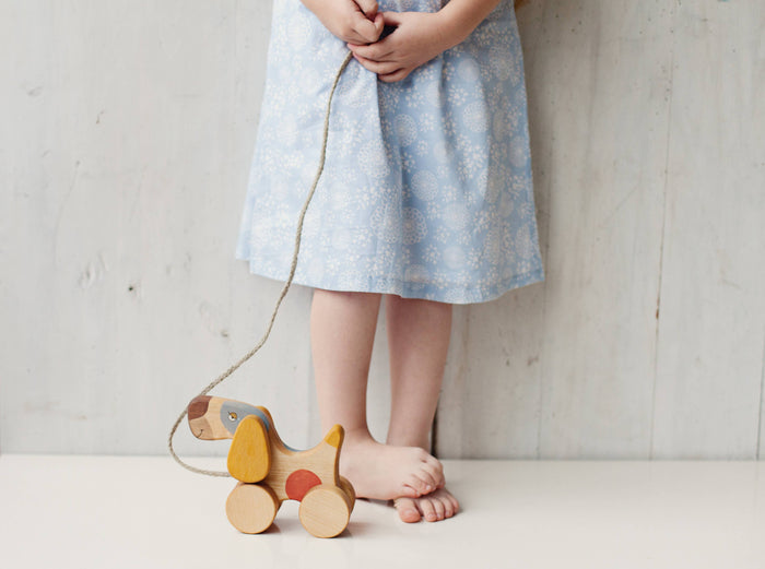 Wooden Dog Pull Toy